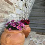Giulia Assisi * Castelnuovo (Perugia)