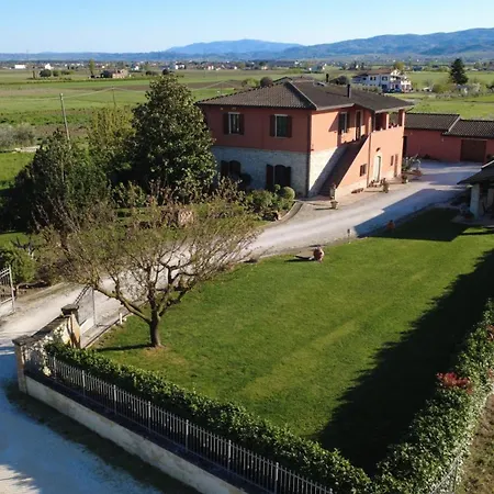 Giulia Assisi Assisi