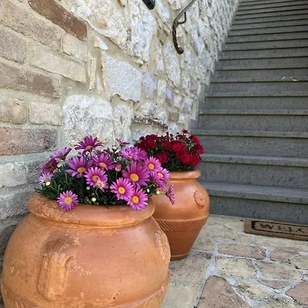 Giulia Assisi * Assisi